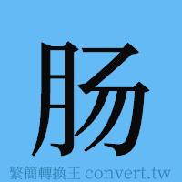 肠的簡體字寫法·字形